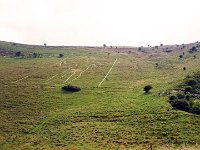 DSC 1971x